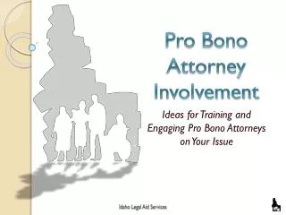 Pro Bono Attorney Involvement
