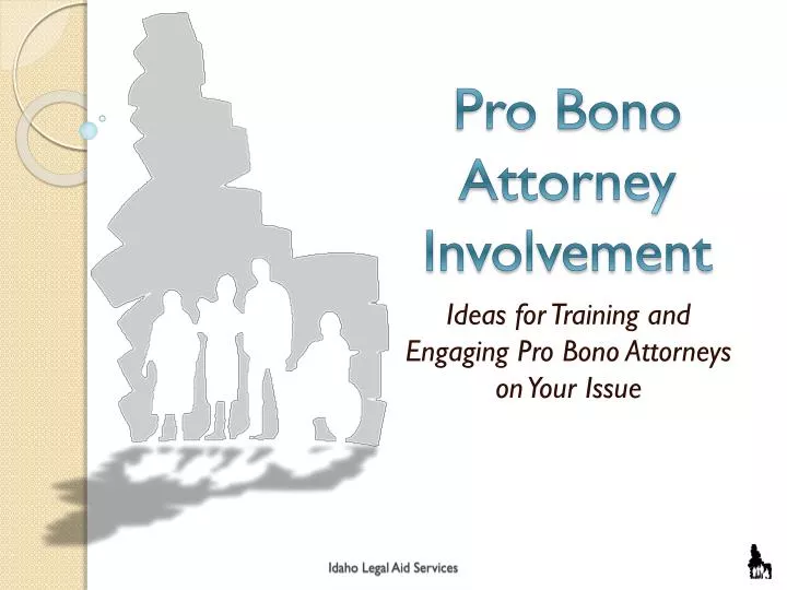 pro bono attorney involvement