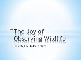The Joy of Observing Wildlife
