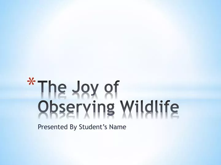 the joy of observing wildlife