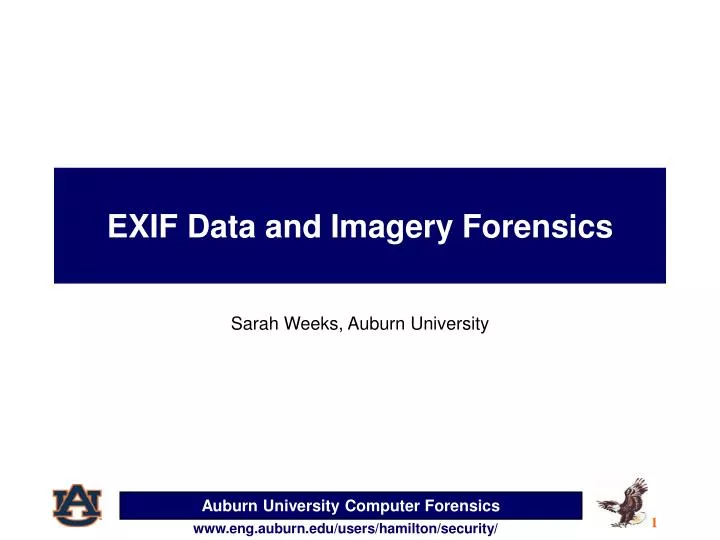 exif data and imagery forensics