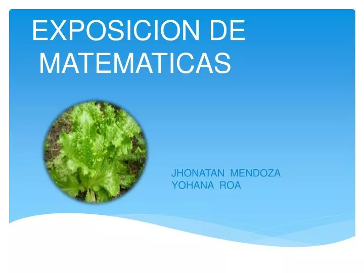 exposicion de matematicas