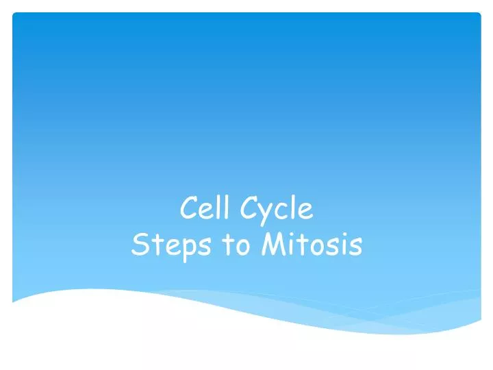 cell cycle steps to mitosis
