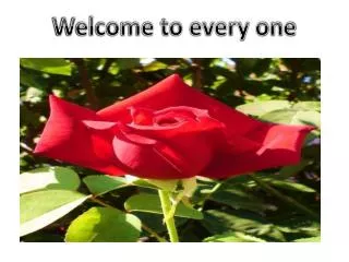 Welcome to every one