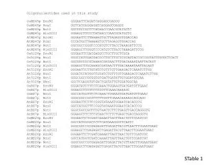 Oligonucleotides used in this study OsMS45p EcoRI	GGGAATTCAGATCAGGAGCGAGGG