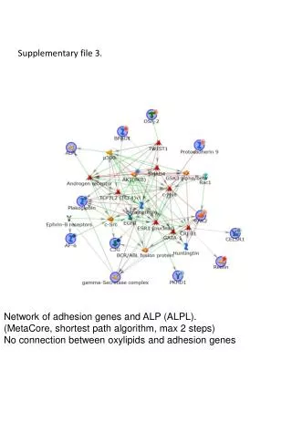 Network of adhesion genes and ALP (ALPL ). ( MetaCore , shortest path algorithm, max 2 steps)