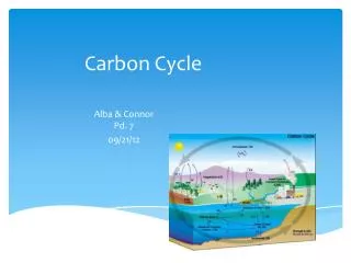 Carbon Cycle