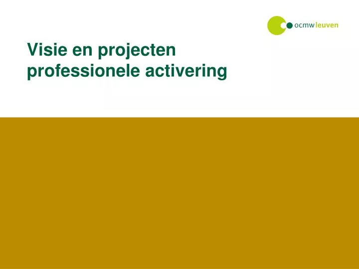 visie en projecten professionele activering