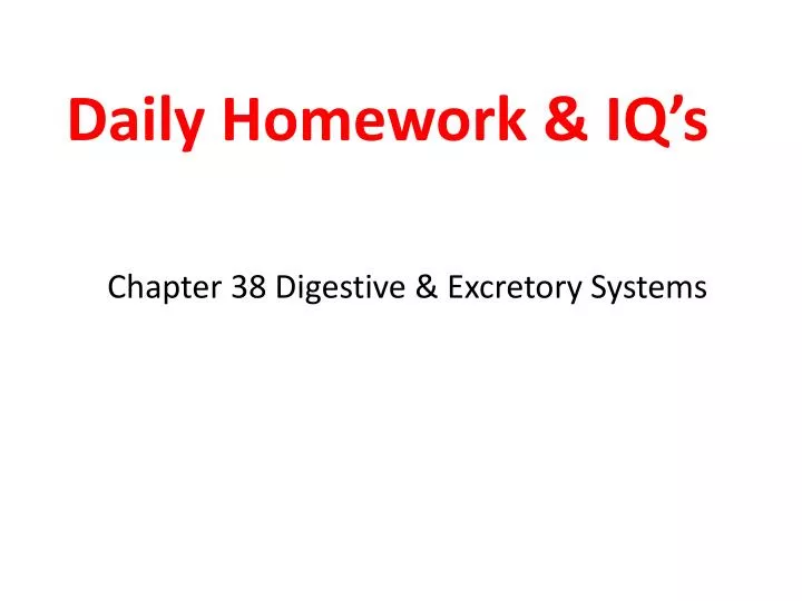 daily homework iq s