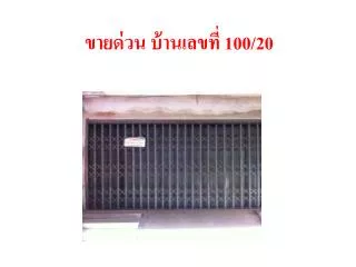 100 20
