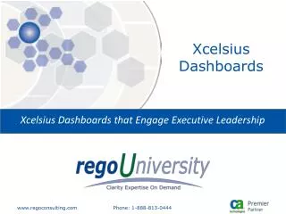 Xcelsius Dashboards