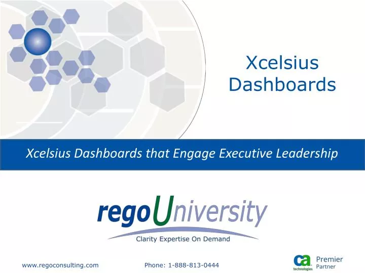 xcelsius dashboards