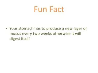 fun fact