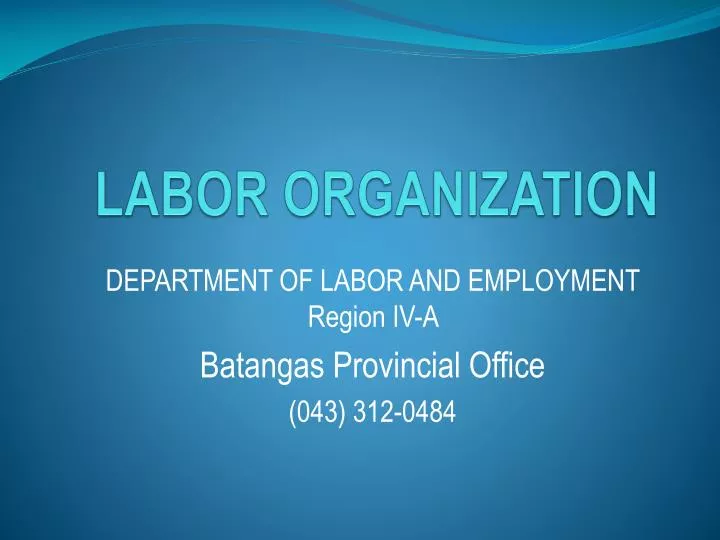 labor organization