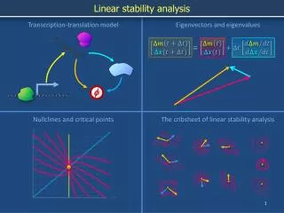 Linear stability analysis