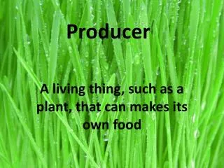 producer