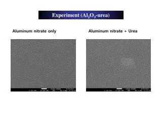 Experiment (Al 2 O 3 -urea)