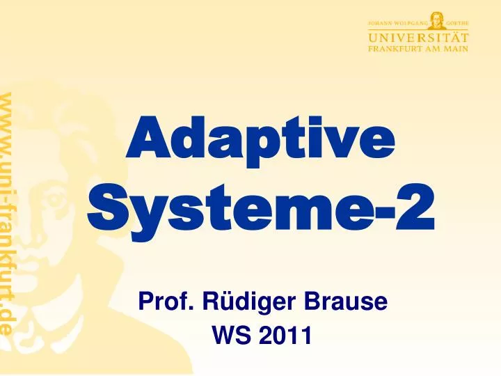 adaptive systeme 2