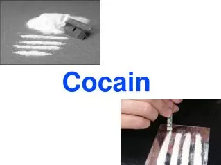 Cocain