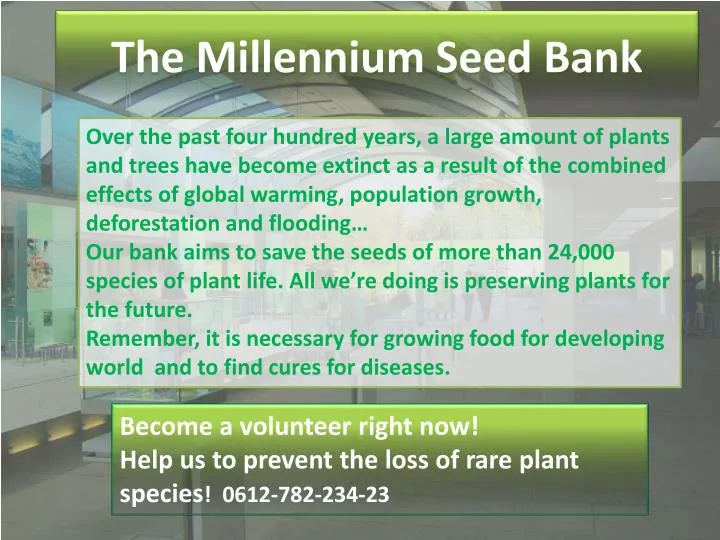 the millennium seed bank
