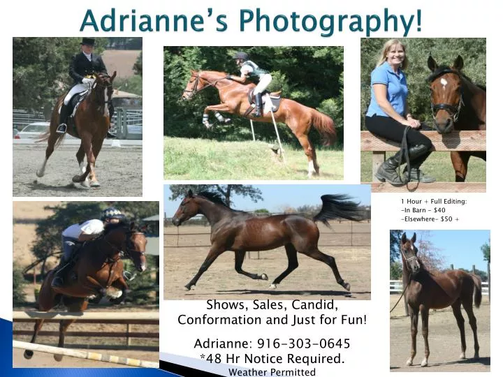 adrianne s photography