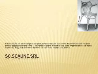 sc scaune srl