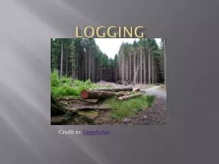 Logging