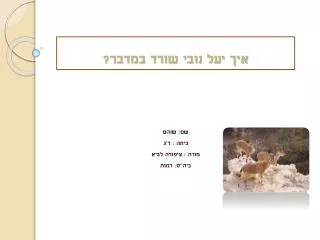 slide1