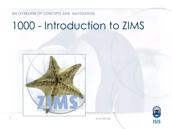 1000 introduction to zims