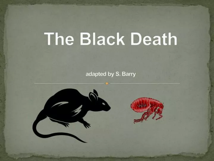 the black death adapted by s barry