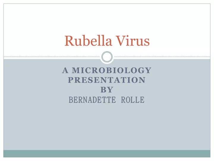 rubella virus