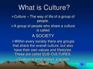 what is culture