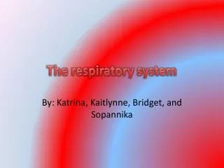 The respiratory system