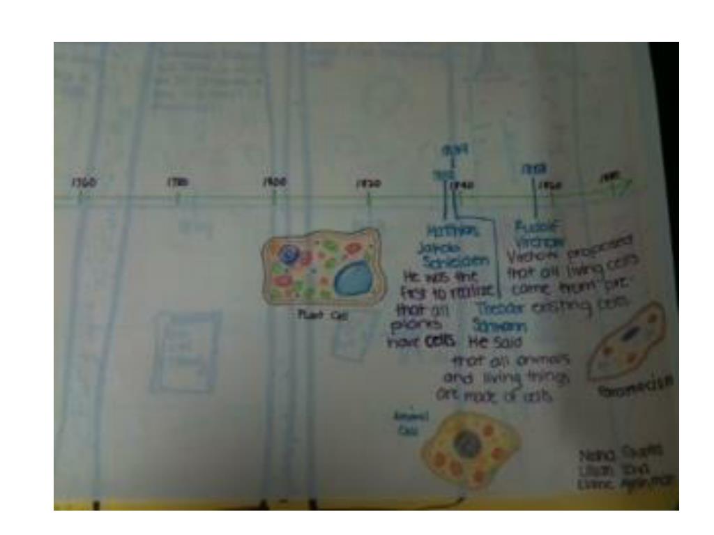 PPT - The Cell Theory – Timeline Rubric PowerPoint Presentation, free ...