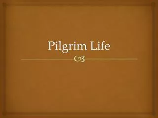 Pilgrim Life