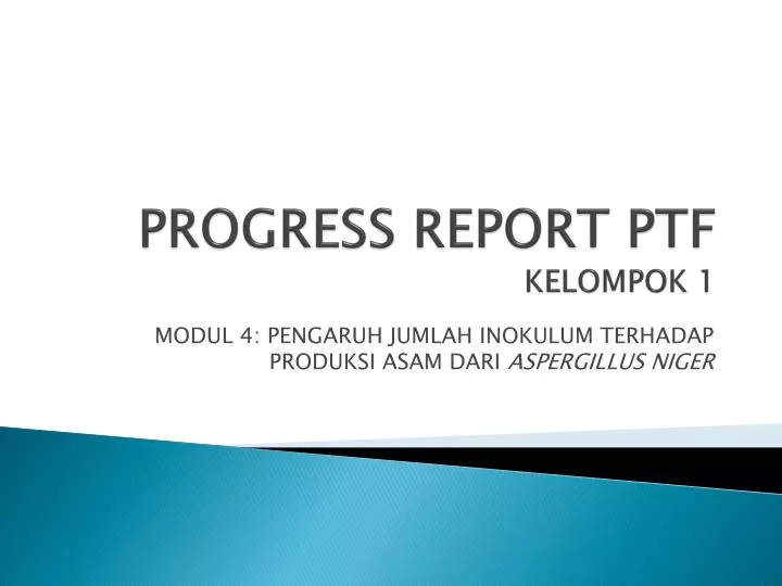 progress report ptf kelompok 1