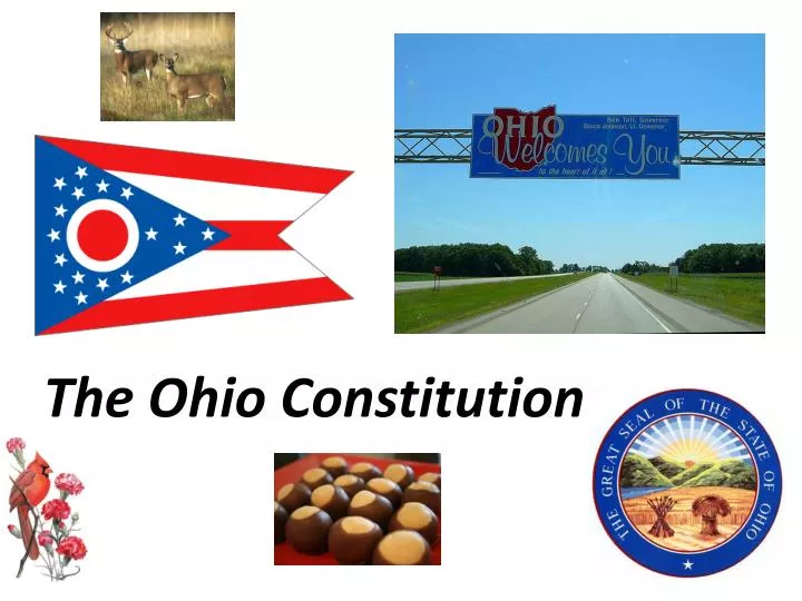 the ohio constitution