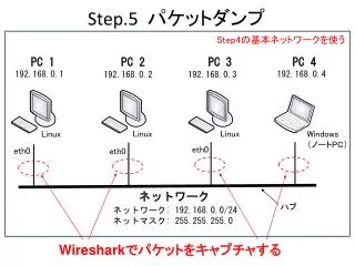 step 5