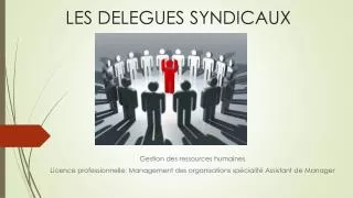 les delegues syndicaux