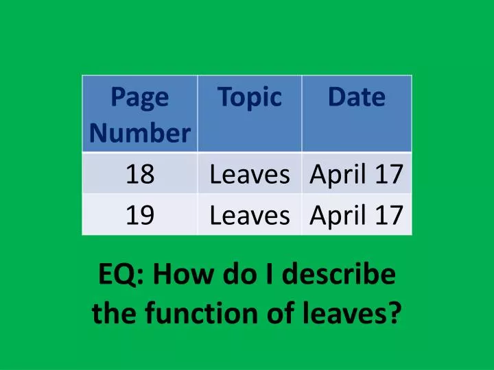 eq how do i describe the function of leaves