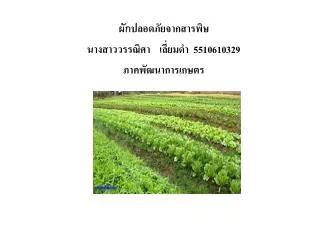 5510610329