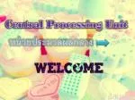 Central Processing Unit - slide 1