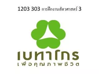1203 303 3