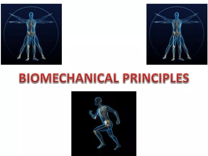 biomechanical principles