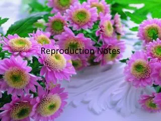 Reproduction Notes