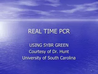 REAL TIME PCR