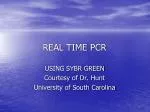 REAL TIME PCR - slide 1