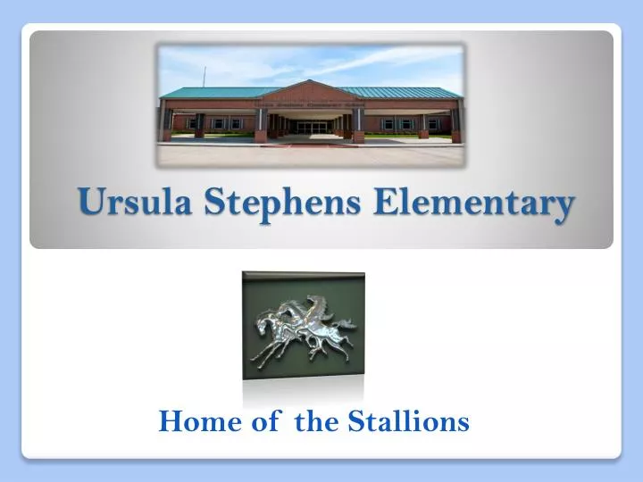 ursula stephens elementary