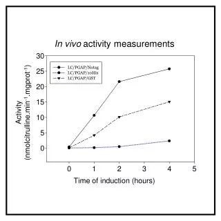 In vivo activity measurements
