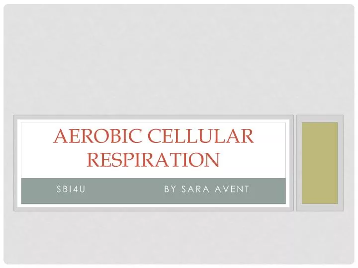 aerobic cellular respiration